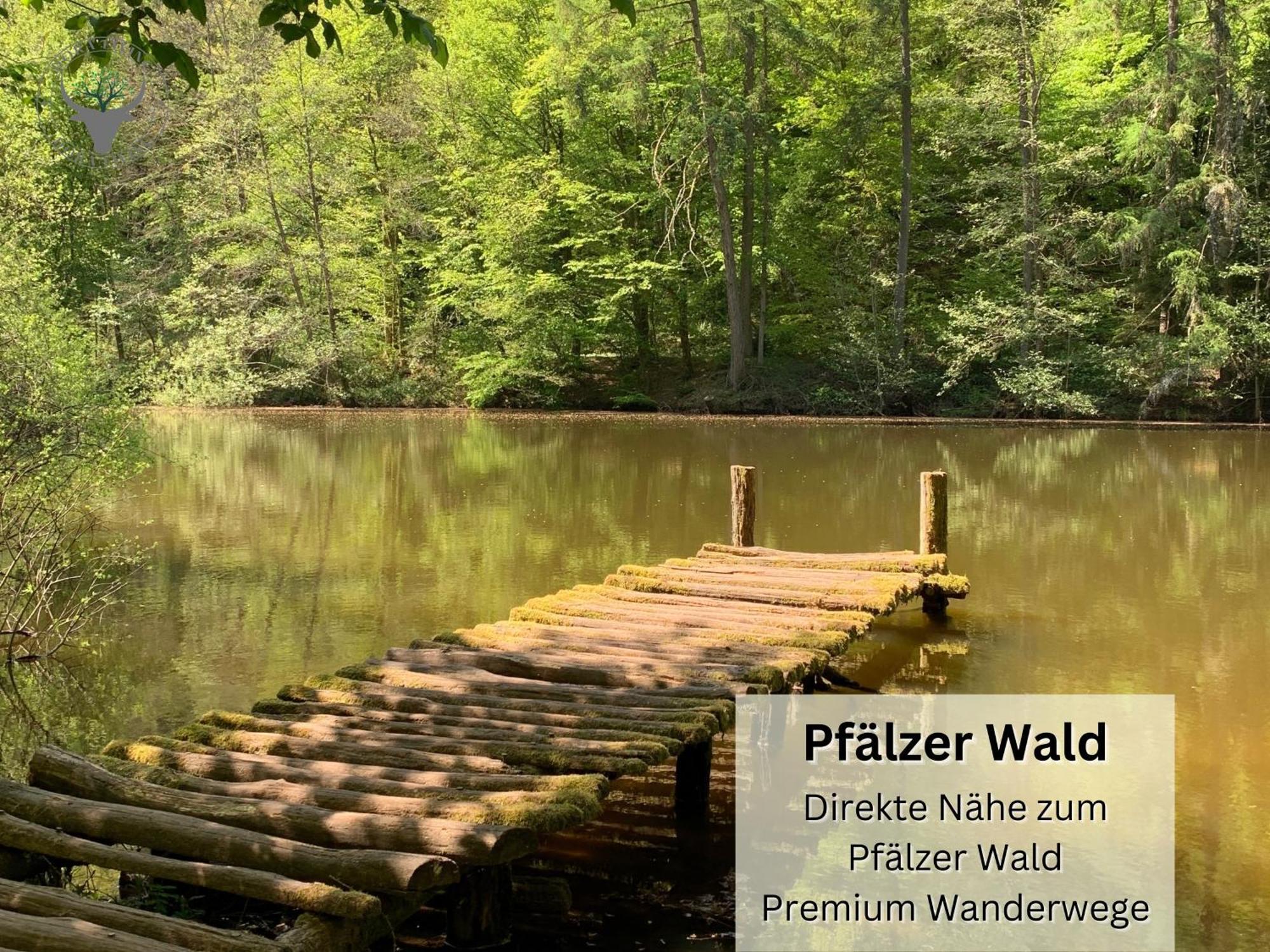 Апартаменты Schuhpartment Am Pfaelzer Wald Naehe Outlet Center Zweibruecken Пирмазенс Экстерьер фото